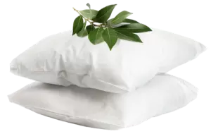 Dormire sugli allori
